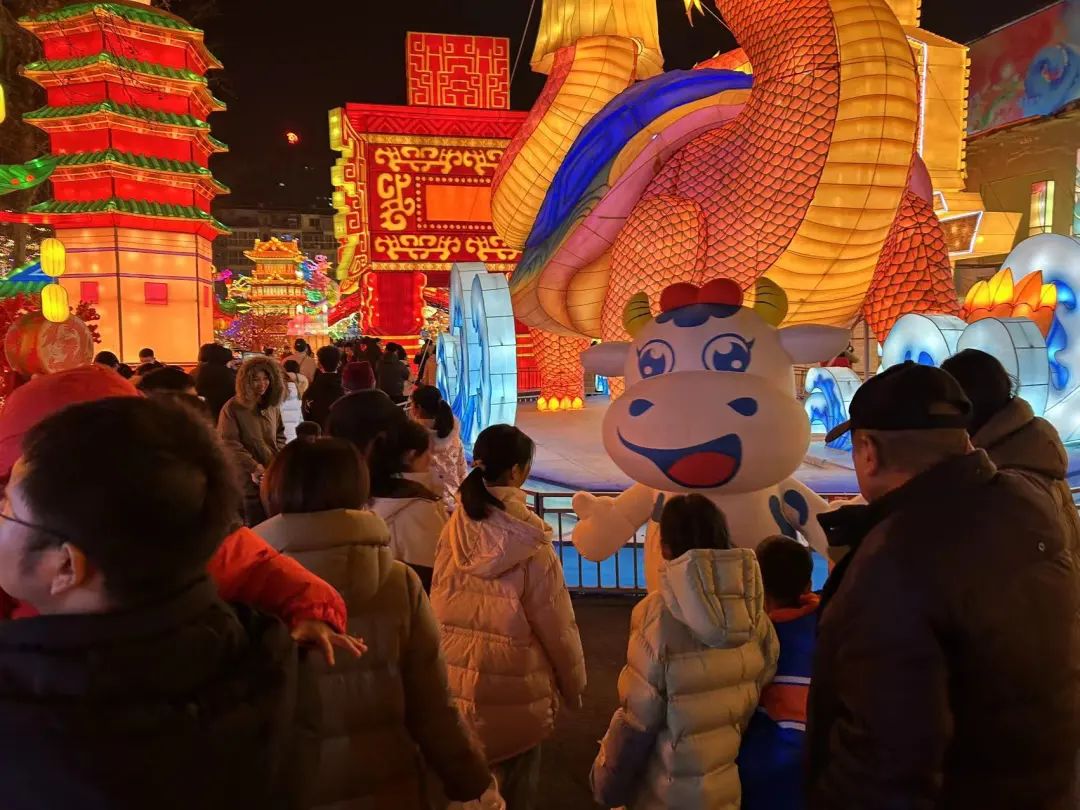 央視直播鄭州龍年燈會迎新春，花花牛品牌上大分