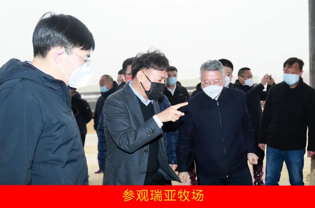 新年開新局 合作促發(fā)展丨佳木斯市委常委、副市長(zhǎng)閆志剛一行蒞臨花花牛乳業(yè)集團(tuán)及佳田企業(yè)考察座談