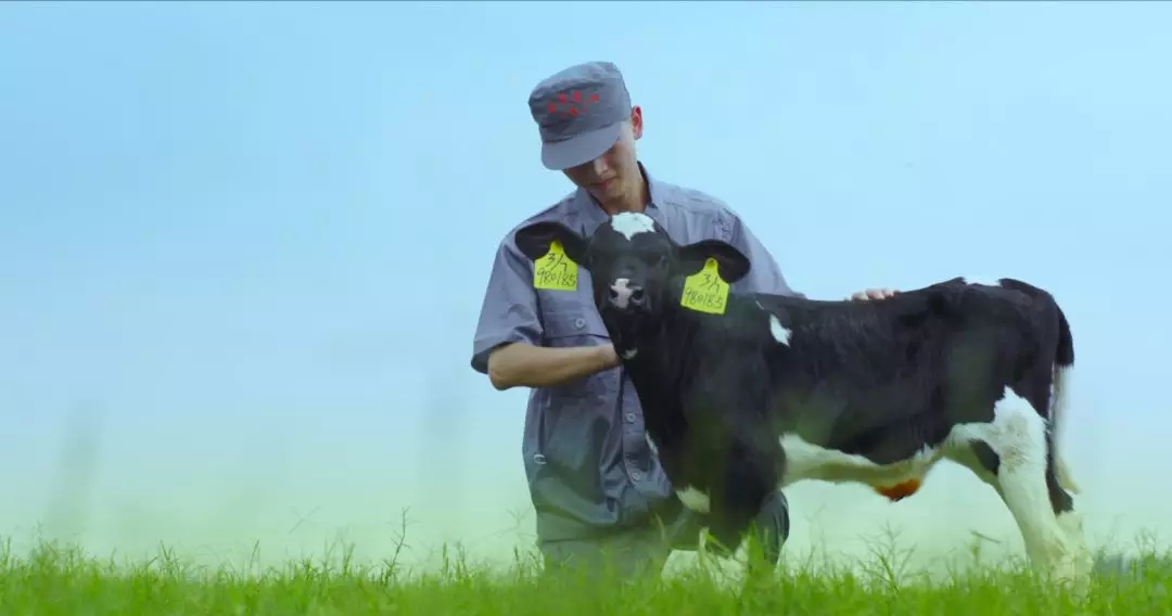河南省人大常委會黨組書記、副主任孔昌生蒞臨花花牛魯山瑞亞牧場參觀調(diào)研