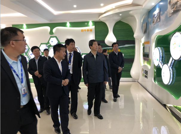 河南省委副書記、省長陳潤兒一行蒞臨 花花牛集團魯山瑞亞牧業(yè)有限公司視察調(diào)研