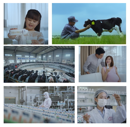 花花牛亮相中國奶業(yè)20強呼倫貝爾峰會，共話中國奶業(yè)振興！