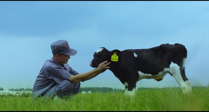 又雙叒叕獲獎啦！花花牛榮獲“乳品質(zhì)量安全管理 優(yōu)秀企業(yè)”