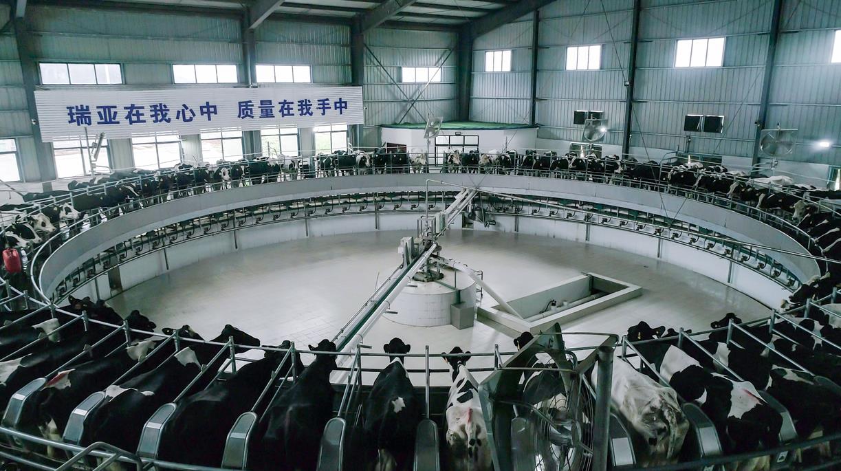 又雙叒叕獲獎啦！花花牛榮獲“乳品質(zhì)量安全管理 優(yōu)秀企業(yè)”