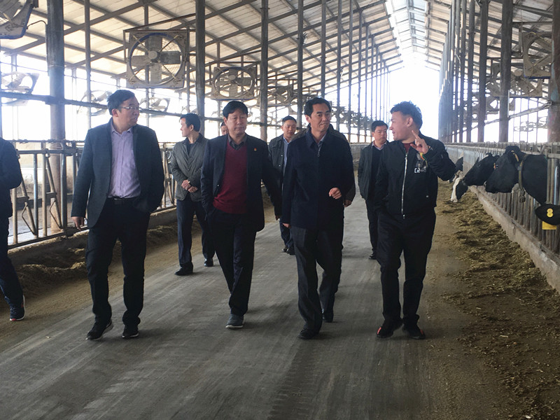 封丘縣縣長(zhǎng)王獻(xiàn)臣一行蒞臨 花花牛集團(tuán)養(yǎng)殖、乳品事業(yè)部參觀調(diào)研