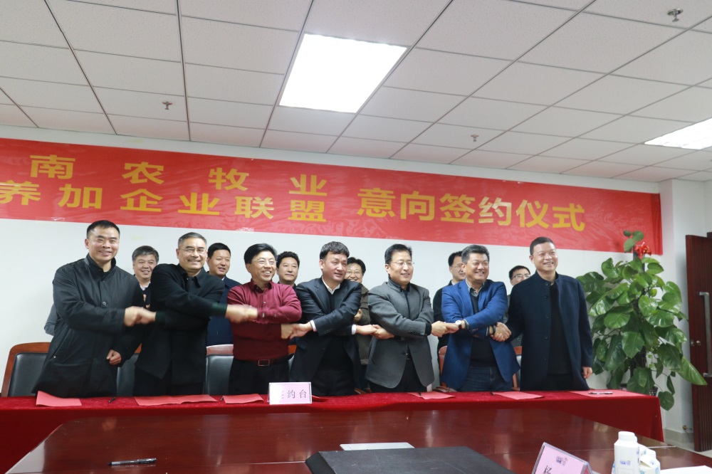 涉農(nóng)企業(yè)強(qiáng)強(qiáng)聯(lián)合，“抱團(tuán)取暖”共迎企業(yè)發(fā)展的春天