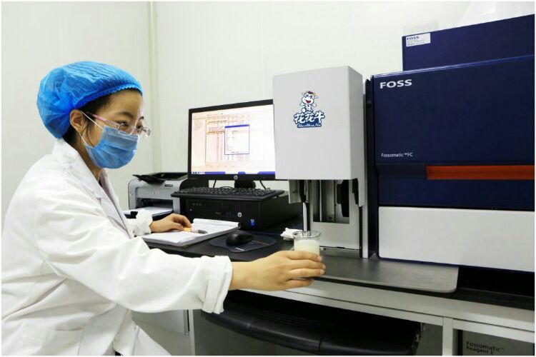 花花牛：務(wù)實(shí)、創(chuàng)新領(lǐng)潮市場(chǎng) 大企業(yè)體現(xiàn)大擔(dān)當(dāng)