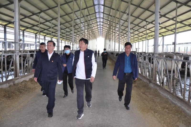 商丘市委常委、宣傳部部長(zhǎng)王全周一行蒞臨睢縣瑞亞牧業(yè)有限公司調(diào)研