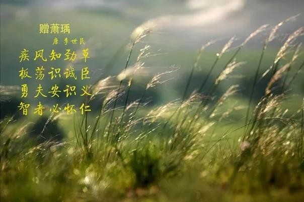 花花牛 | 疾風(fēng)來(lái)臨，你是不是勁草？