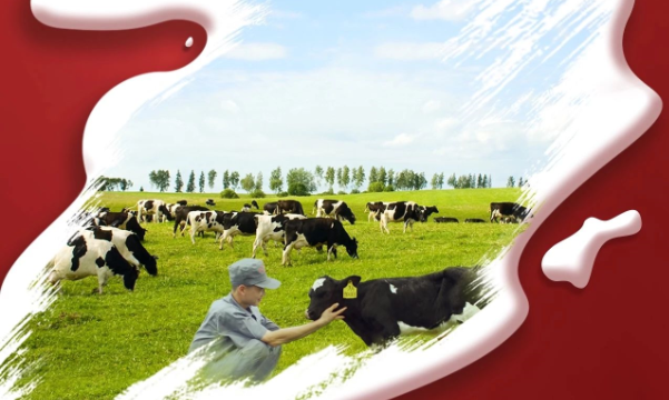 喜報(bào)！花花牛董事長關(guān)曉彥再獲”優(yōu) 秀企業(yè)家”稱號(hào)